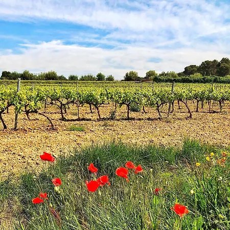 Country house Ca L'helena Castellet